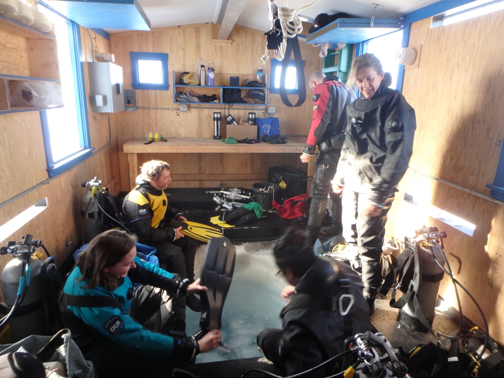 A group of divers prepare to enter the sea in a wooden cabin. 